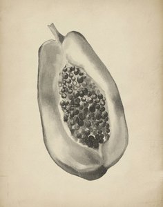 Fél trópusi papaya