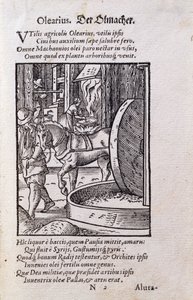 Olajkészítő, illusztráció a „De Omnibus Illiberalibus Sive Mechanics Artibus” latin kiadásából Hans Sachs (1494-1576) verseivel, pub. 1574 (fametszet) alkotó: Jost Amman