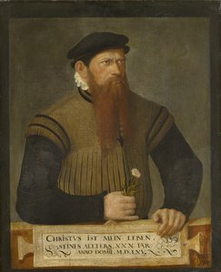 Egy szakállas férfi portréja, 1565 alkotó: Jost Amman