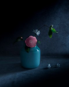 Moody Pink Bloom alkotó: Judy Tseng