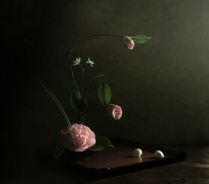 Rózsaszín kamélia ikebana