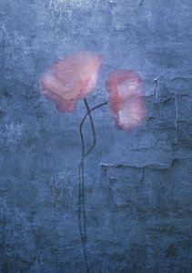  alkotó: Judy Tseng