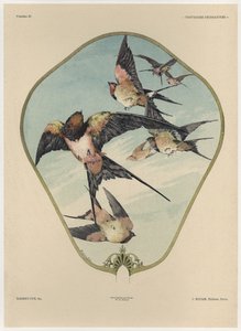 Ventilátor, 30. tábla a "Fantaisies decoratives" című műből, Gillot metszete, kiadó: Jules Rouam, Librairie de l
