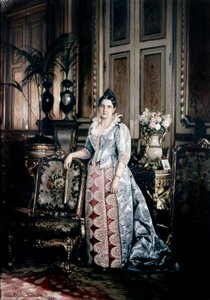 Mrs. Carnot portréja érdemes ruhát visel