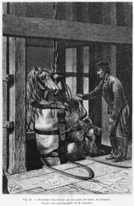 Ló lefelé csörlőzik a Le Creusot-i szénbányában, illusztráció Louis Simonin (1830-86) "La Vie souterraine" című művéből, 1867.