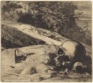 föld