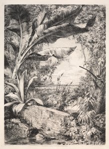 Az üvegház növényei, 1872. alkotó: Jules Ferdinand Jacquemart