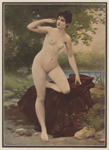 A meggondolatlan (színes litó)