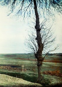 Egy sír több halottal az út szélén a marne-i csata során Párizstól keletre, 1914. szeptember (autokróm) alkotó: Jules Gervais Courtellemont