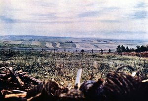304-es domb szögesdróttal Verdun közelében, 1916. szeptember (autokróm)