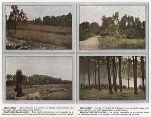 Lenharree, Lenharree, Tranchees Francaises, Bivouac Under the Firs