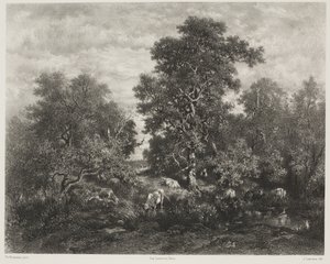 A tó, Théodore Rousseau (1812-67) nyomán