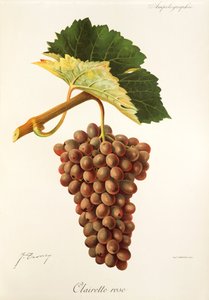 Clairette Rose grape by J. Troncy   1414254   hu       hungarian Successfully Translated  Original: The Moon Rises (oil on board) Translat: The Moon Rises (oil on board) 1411782 hu hungarian Successfully Translated Original: Wild Flowers, Jamaica Translat: alkotó: Jules Troncy