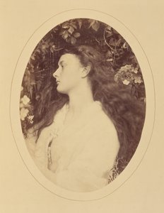 [Alethea] alkotó: Julia Margaret Cameron