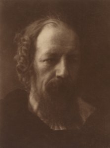 Alfred, Lord Tennyson, 1867, nyomtatva 1905. alkotó: Julia Margaret Cameron