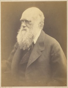 Charles Darwin alkotó: Julia Margaret Cameron