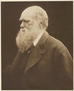 Charles Darwin alkotó: Julia Margaret Cameron