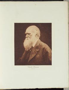 Charles Darwin alkotó: Julia Margaret Cameron