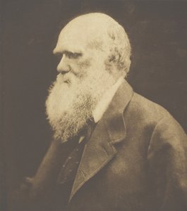 Charles Darwin, 1868, nyomtatott c. 1893. alkotó: Julia Margaret Cameron