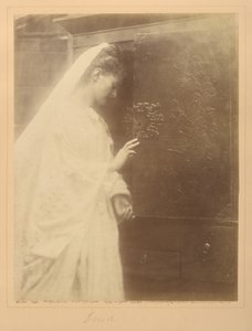 Enid alkotó: Julia Margaret Cameron