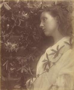 Maud "A kapunál a passióvirágról egy pompás könnycsepp hullott" alkotó: Julia Margaret Cameron