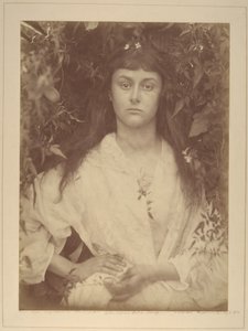 Pomona alkotó: Julia Margaret Cameron
