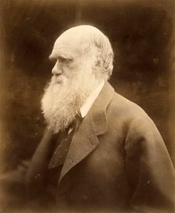 Charles Darwin portréja, 1868