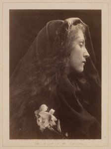 Az angyal a sírnál alkotó: Julia Margaret Cameron