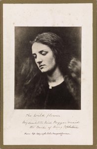 A vadvirág alkotó: Julia Margaret Cameron
