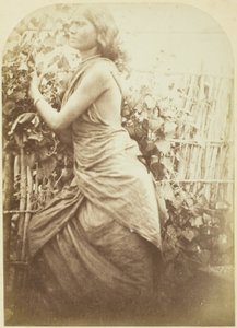 Nő, Ceylon