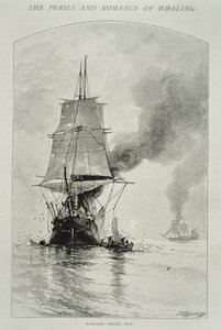 „Whalers Trying Out” (egy bálnát kifarag, és a fedélzetre viszi a húsát), a „The Perils and Romance of Whaling” címmel a Century Magazine-ban, 1890. augusztus (metszet)