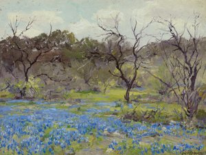 Kora tavasz - Bluebonnets és Mesquite