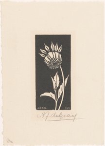 Dália alkotó: Julie de Graag (signed by artist)