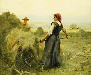 Széna kaszálása; széna kaszálása,