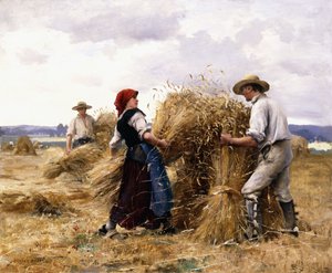 Széna rakás,