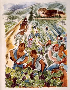 Francia Szőlőbirtok. 1944. Illusztráció: Julien Pavil
