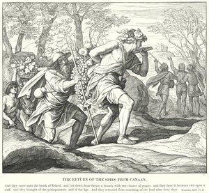 A kémek visszatérése Kánaánból (metszet) alkotó: Julius (after) Schnorr von Carolsfeld
