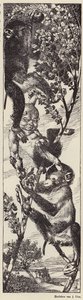 Majmok gyümölcsöt szednek egy fán (litográfia) alkotó: Julius Diez