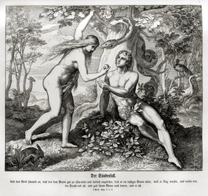 A bukás, Genesis alkotó: Julius Schnorr von Carolsfeld