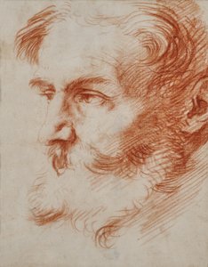 Szakállas férfi feje alkotó: Jusepe de Ribera