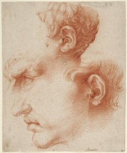 Studien eines männlichen Kopfes im Profil alkotó: Jusepe de Ribera