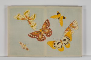 Chō senshu (Ezerféle pillangó), 1. kötet alkotó: Kamisaka Sekka