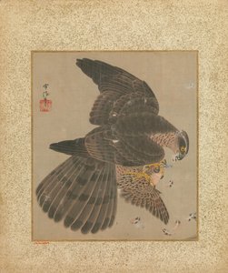 Hawks és kalligráfia albuma, 17-18. század.