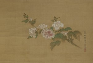 Virágzó hibiszkusz ága, Edo Period (szín a selyemen)