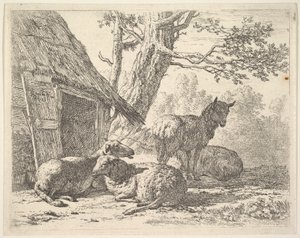 Négy bárány, egy bárány három másik között áll a földön fekve egy fészer mellett, 1658-ban. alkotó: Karel Du Jardin