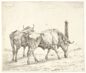 A két ökör alkotó: Karel Du Jardin