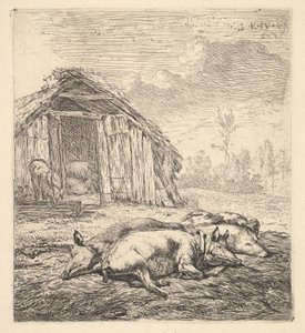 Három oldalukon heverő disznó, mögötte disznóól és vályú, 1652.