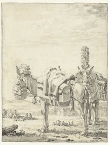 Két öszvér alkotó: Karel Du Jardin