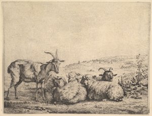 Két kecske és három bárány, 1655. alkotó: Karel Du Jardin