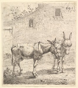 Két szamár áll egy füves udvarban, egyik szelvényben jobbra, a másik hátul..., 1652.
